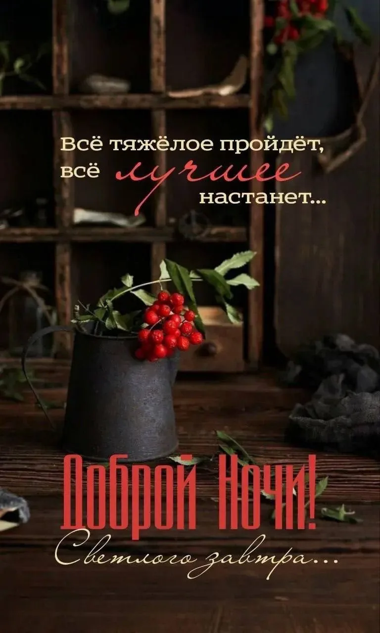Добрый вечер