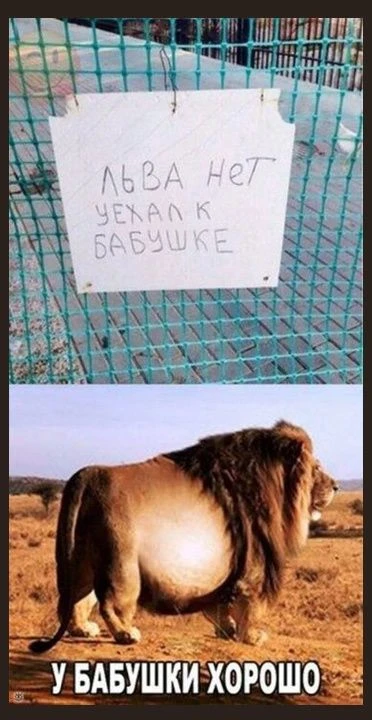 ОТКРЫТКИ С ЛЮБОВЬЮ ❤️