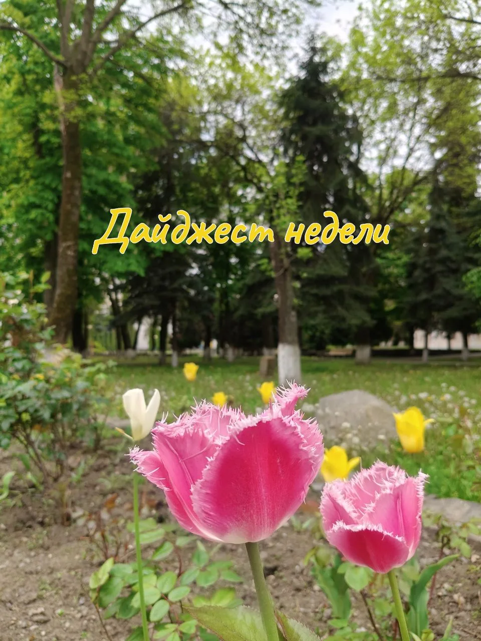 🔗Поздравление ректора СКГМИ с Днем Победы  🔗Ректор СКГМИ встретился с координатором проекта «Научный