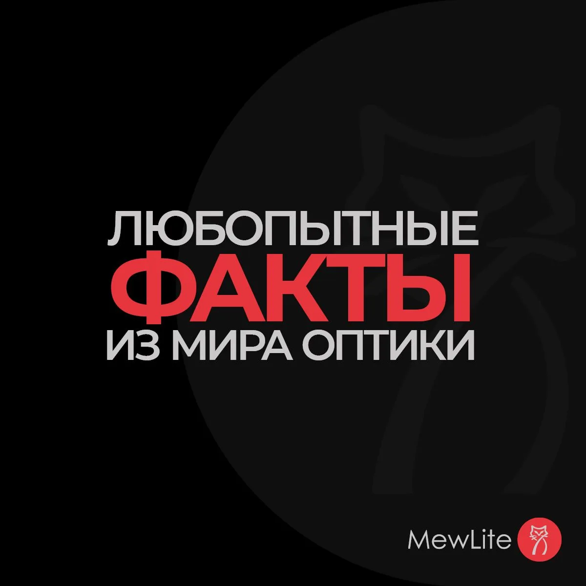 Каждый раз, глядя в бинокль или прицел, мы просто видим чёткую картинку. Но за ней стоя...