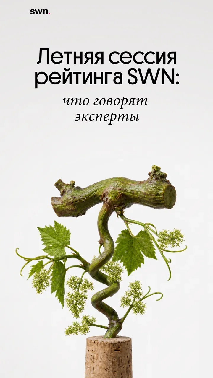 Летняя сессия рейтинга Simple Wine News: что говорят эксперты

Цифры и звёзды мы уже разобрали — теп