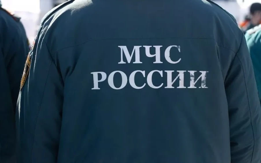 Туристка из Новосибирска, убитая медведем на Алтае, оказалась сотрудницей главка МЧС