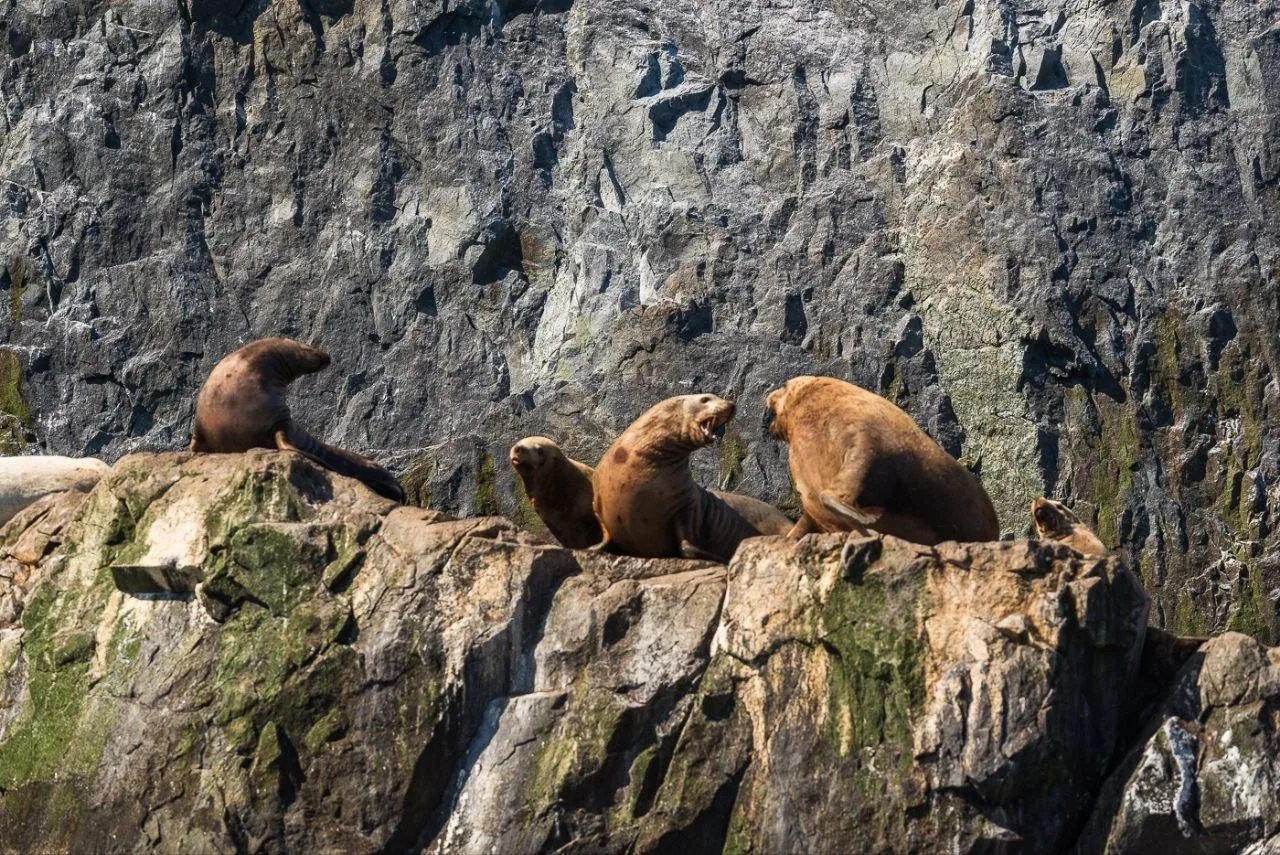 🔥 ДОБОР🐋 Успейте забрать  

✅Есть 3 места на Остров Старичков на 27 июля

Даты далее — по запросу.