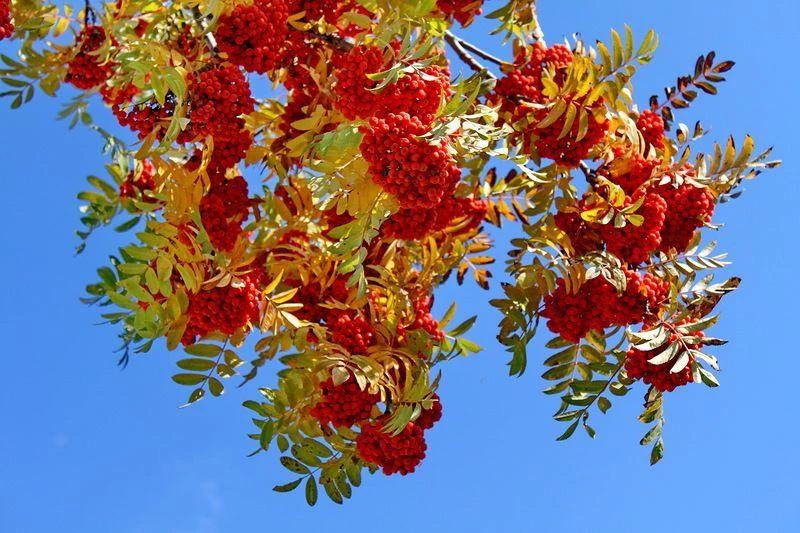 🍁 Осень — лучшее время для маленьких открытий!