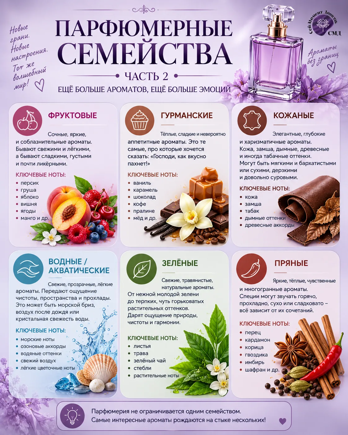 💜 ЕЩЁ 6 ПАРФЮМЕРНЫХ СЕМЕЙСТВ 👃