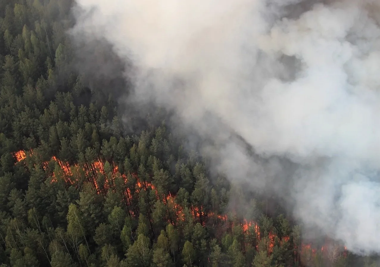 Площадь лесных пожаров в четырех районах ХМАО превысила 840 гектаров 🔥

В Нижневартовском, Сургутск
