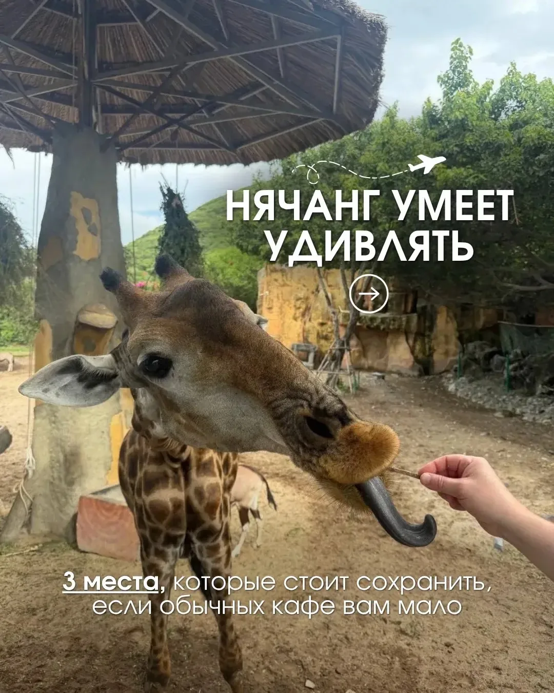 Вы знаете где перекусить в Нячанге интересно и вкусно?