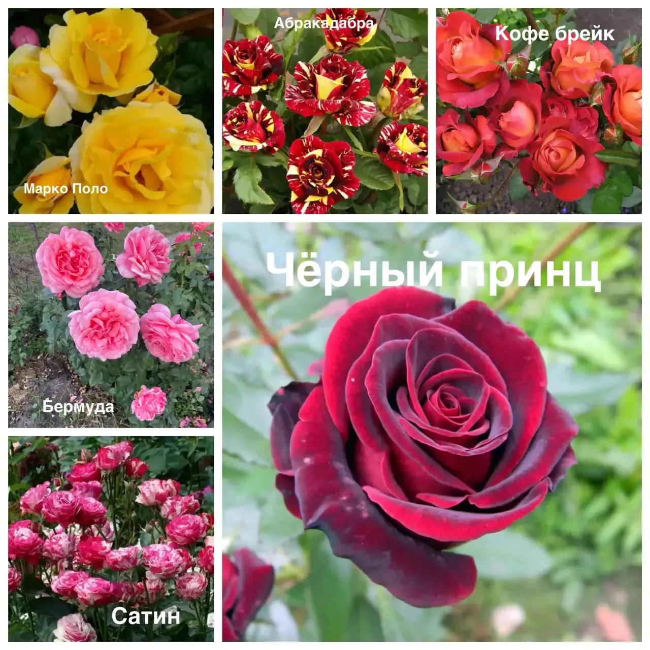 Мах: https://max.ru/join/ZrnVdcICV-gb8GlI8aD8HDKX8RuiWWsv1ZGSKn6F-b0