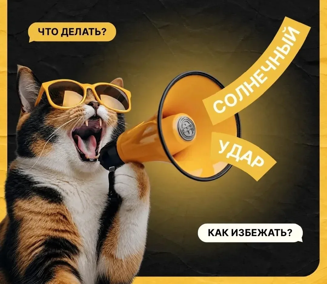 Пошла жара ☀️

Длительное пребывание на солнце может привести к ожогам и солнечному удару. Чтобы про