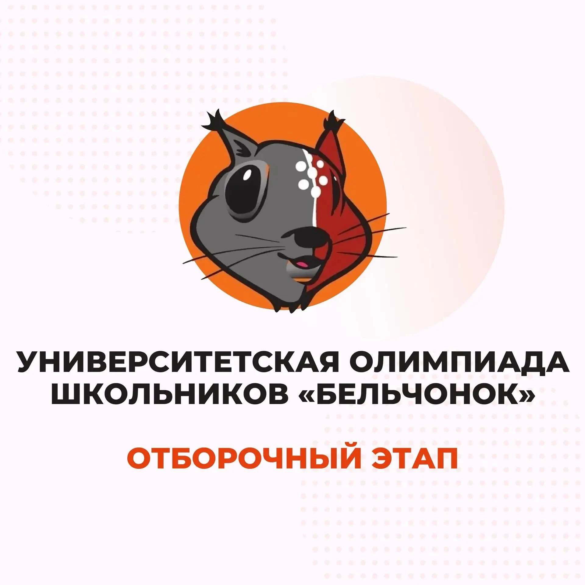 🌟 Олимпиадный сезон открыт: «Бельчонок» ждёт участников!