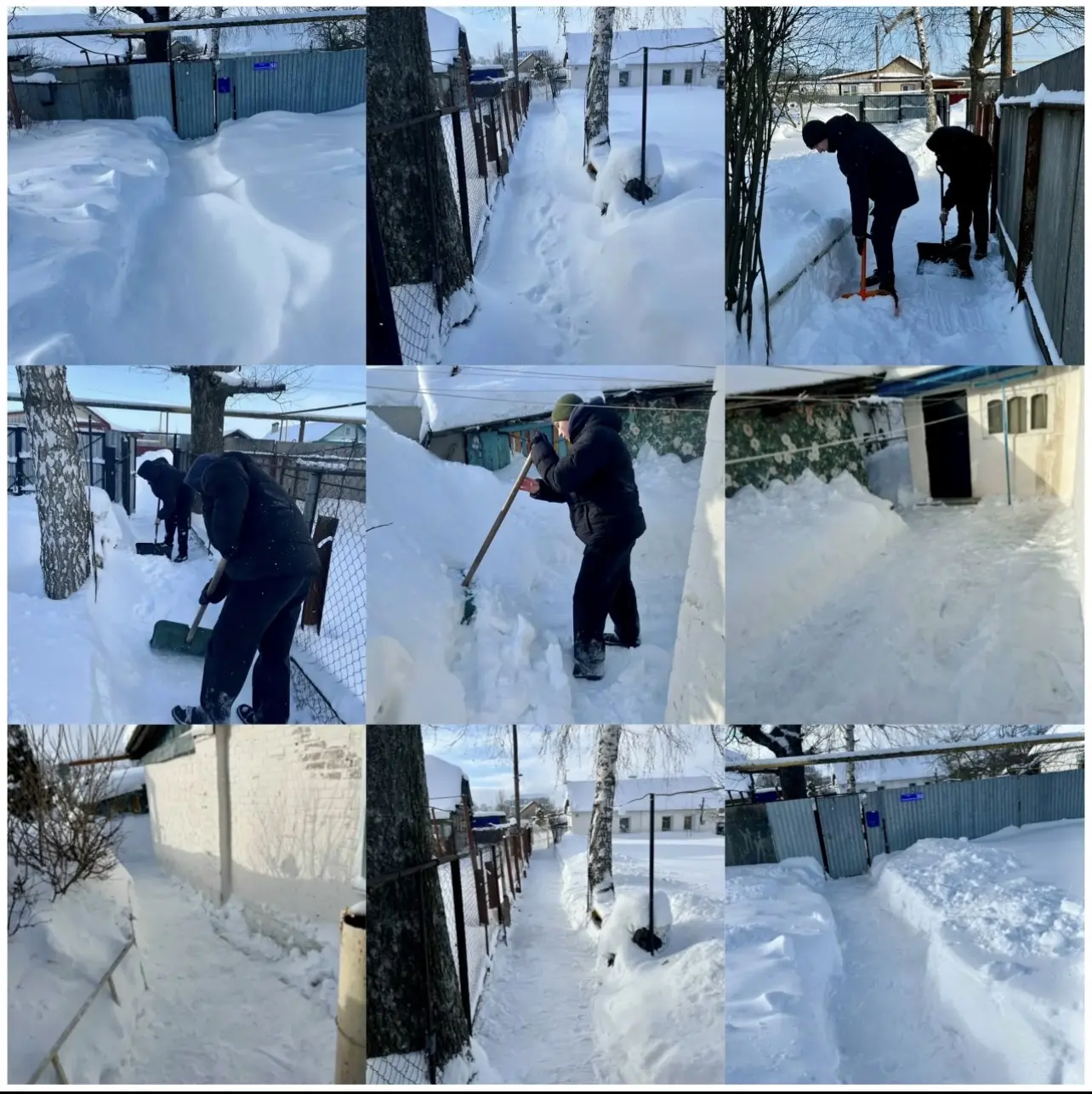 НАШИ ДОБРЫЕ ДЕЛА   ❄️🧹Воспитанники волонтерского отряда «Альфа» первого учебного корпуса имени Героя