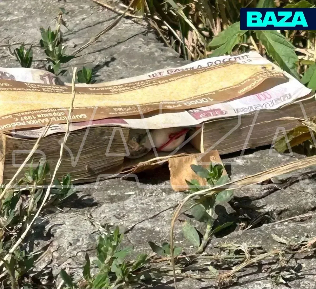 Пачку купюр с подозрительным устройством внутри обезвреживают в Кавминводах сапёры.