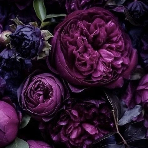 🌸 Ароматерапия: продолжение…