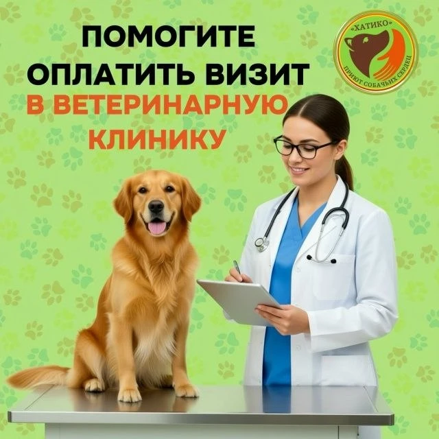 Новый день настал... Сегодня мы планируем поездку в клинику.