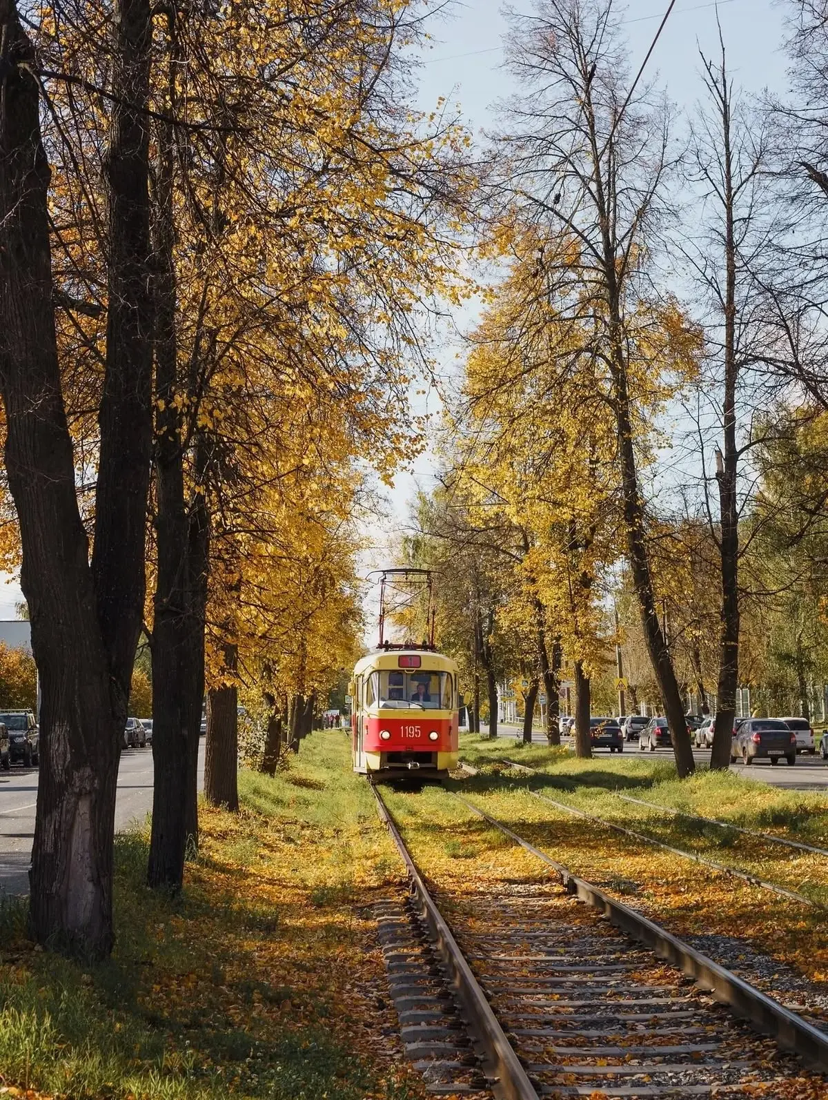 🍁 Доброе утро!