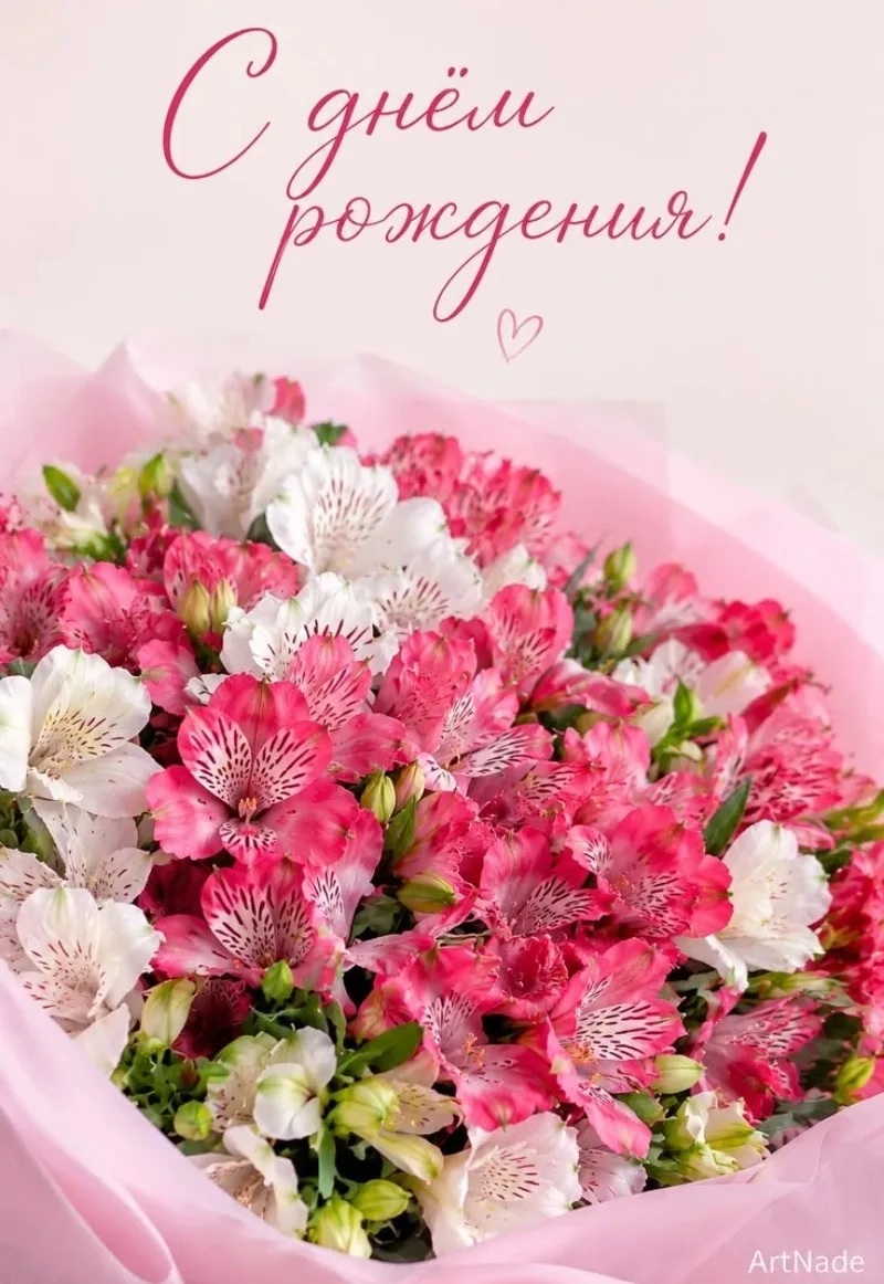 НАШИ ПОЗДРАВЛЕНИЯ 🎂🎈💐🎉🎁🌷