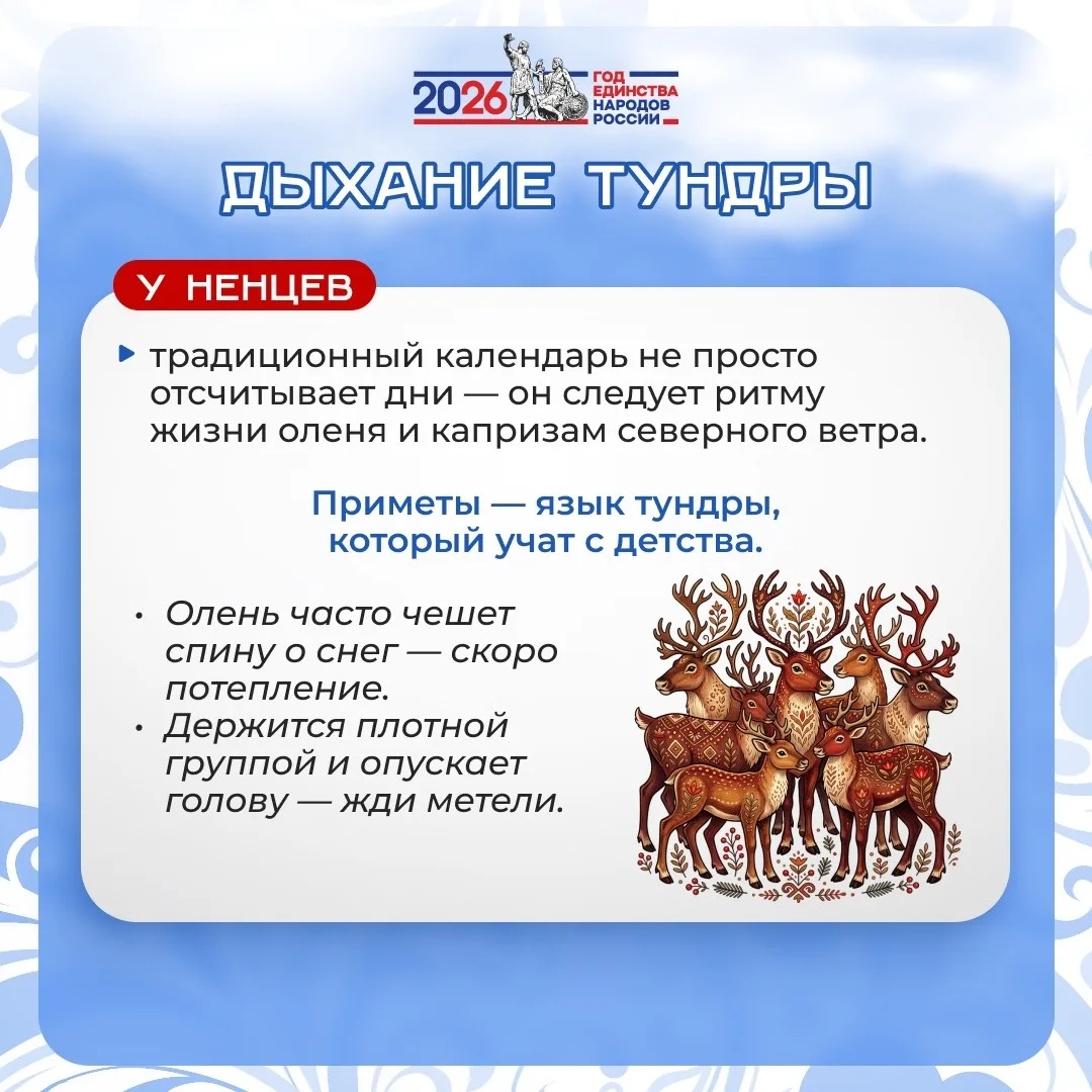🌿✨ Подготовили для вас карточки «Единство в ритме природы. Календари и приметы народов...