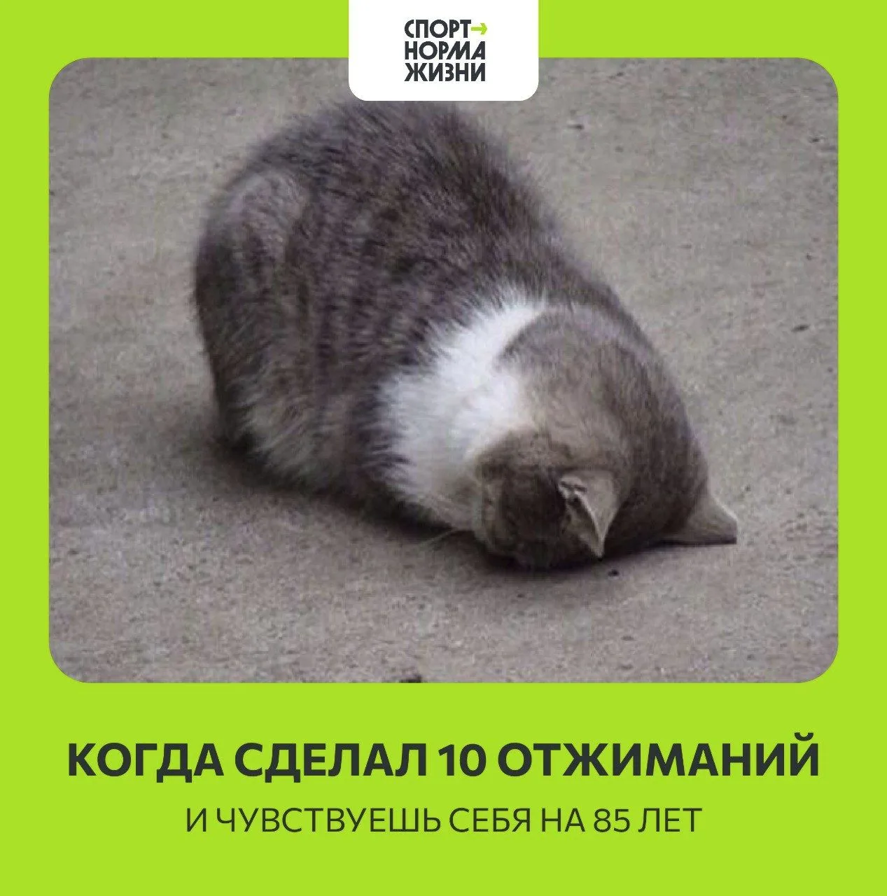 ⚡️ Последняя весенняя пятница уже на календаре! Июнь, давай, поднажми! Мы очень ждем тебя 🙏