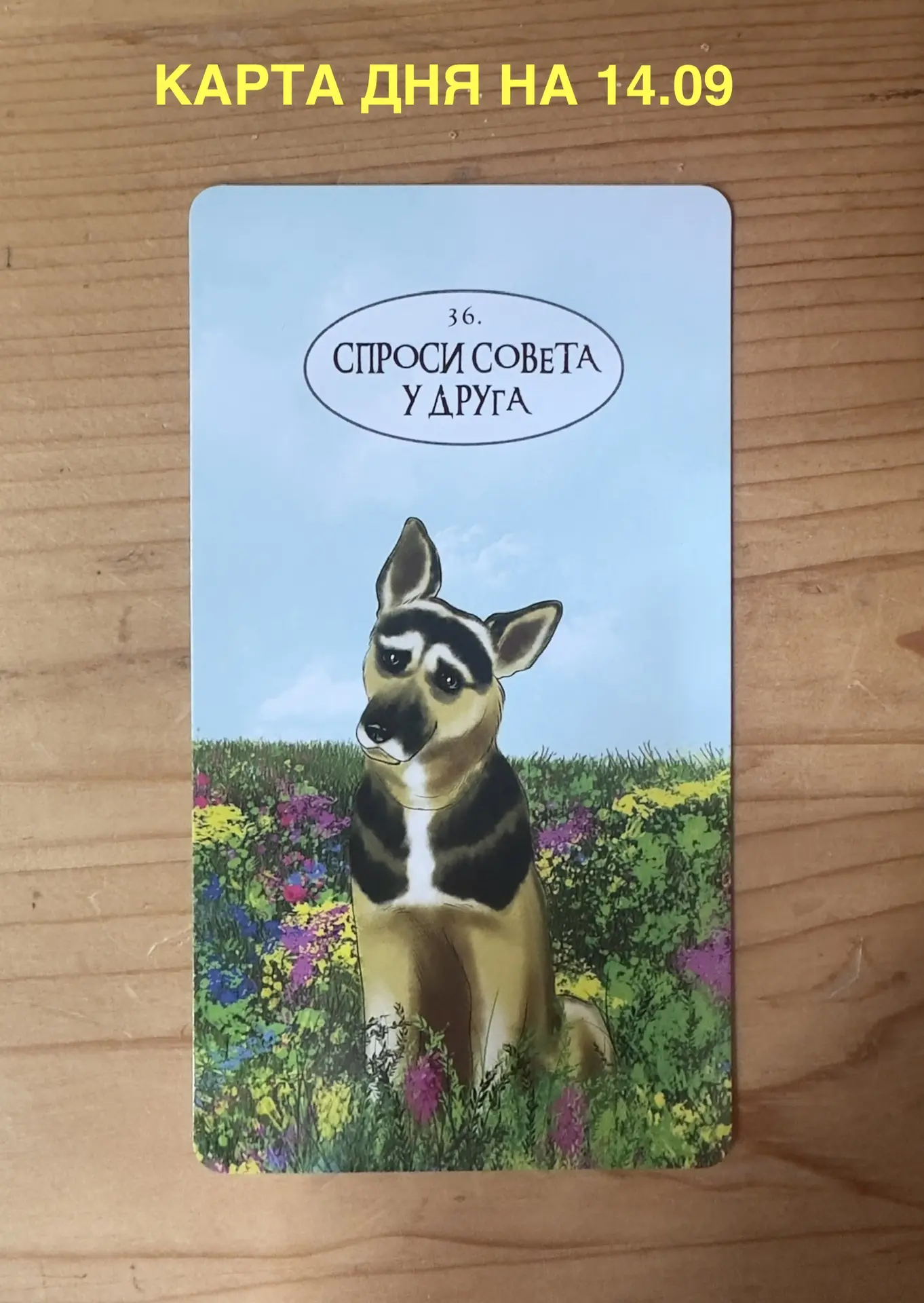 Запись на Таро 89850768866 Марианна