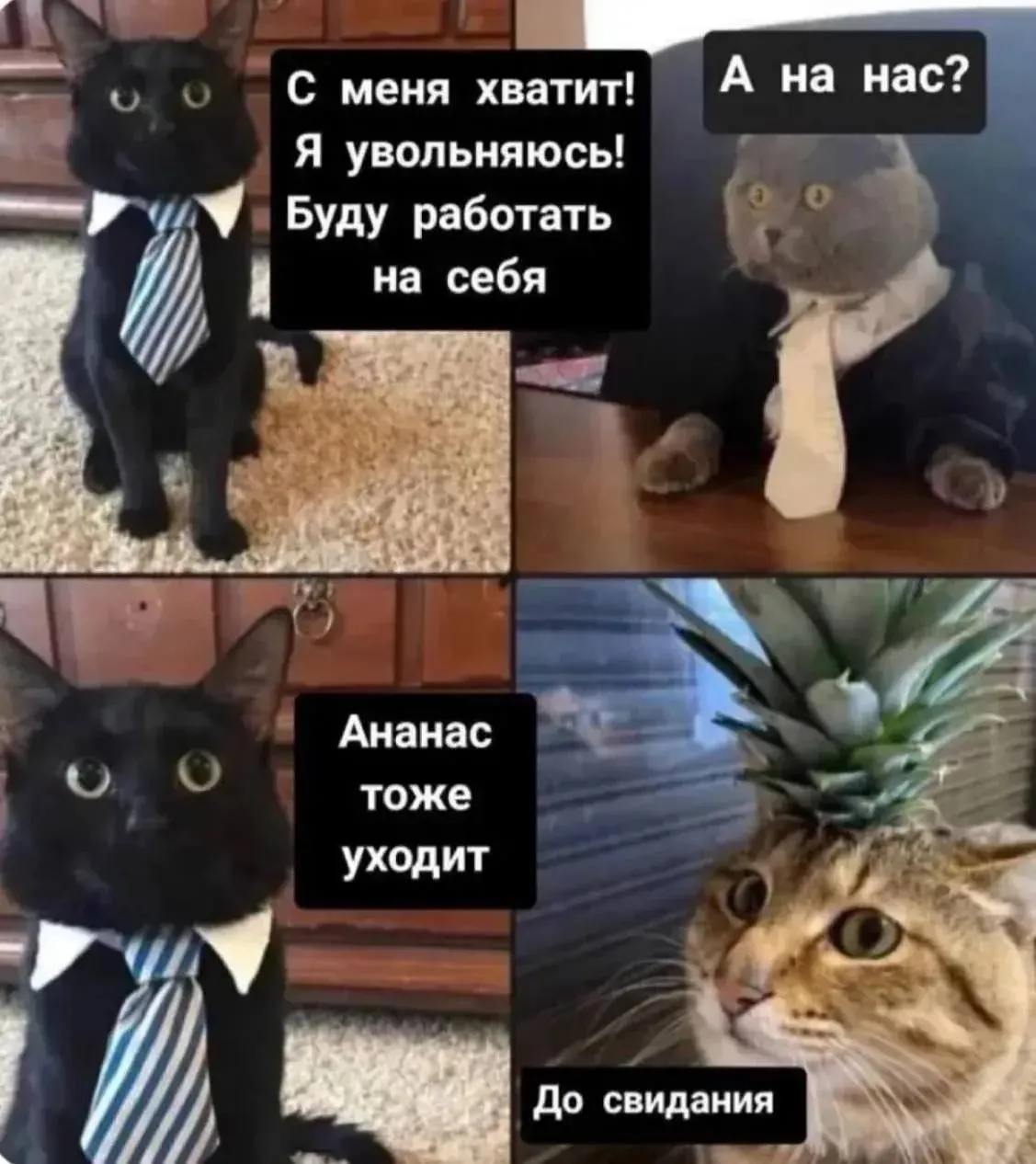 Сегодня с любовью расставались с клиентом на smm-ведении, и она мне скинула это😅
