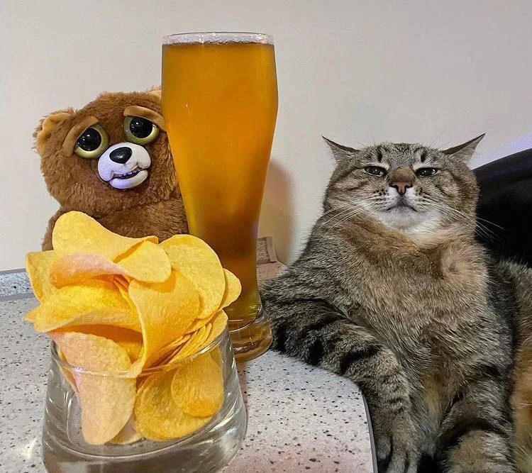 🍻 День пивопития отмечается сегодня 28 сентября