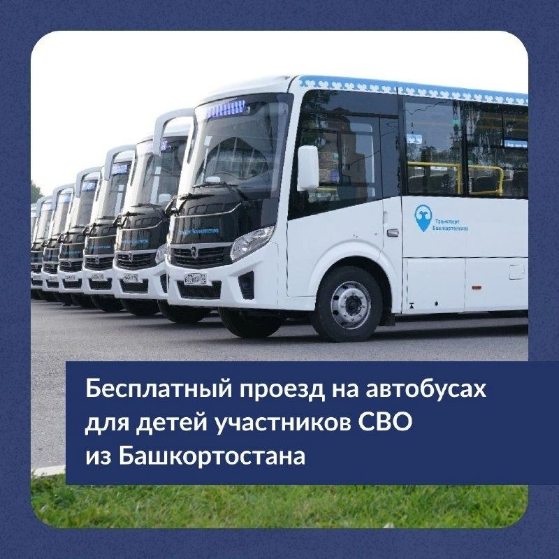 Для детей участников СВО из Башкортостана действует бесплатный проезд на автобусах.
Что нужно для по