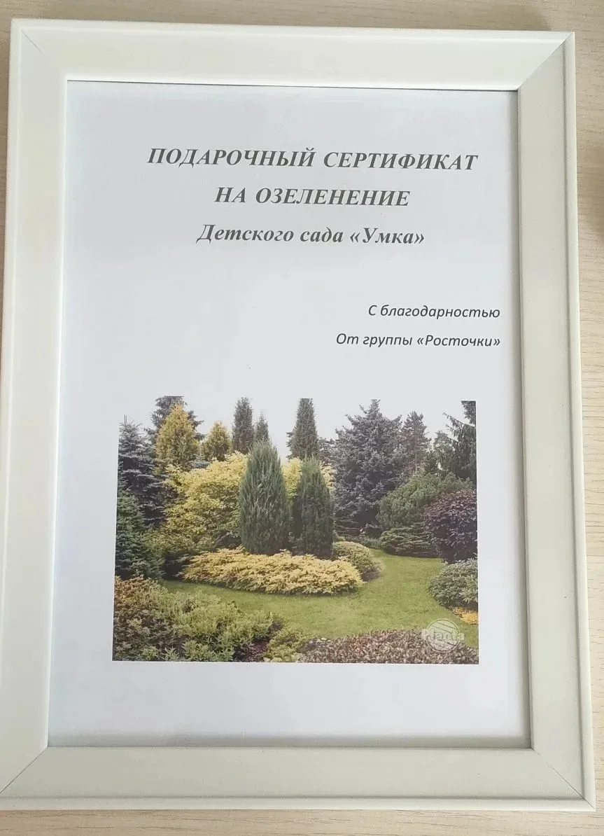 Родители группы 4  "Росточки" МБОУ "Эффективная школа" на память детскому саду подарили сертификат н