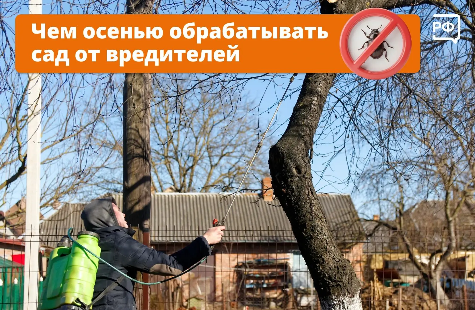 🍂 Осень — время подготовить сад к холодам и не дать вредителям перезимовать на участке...