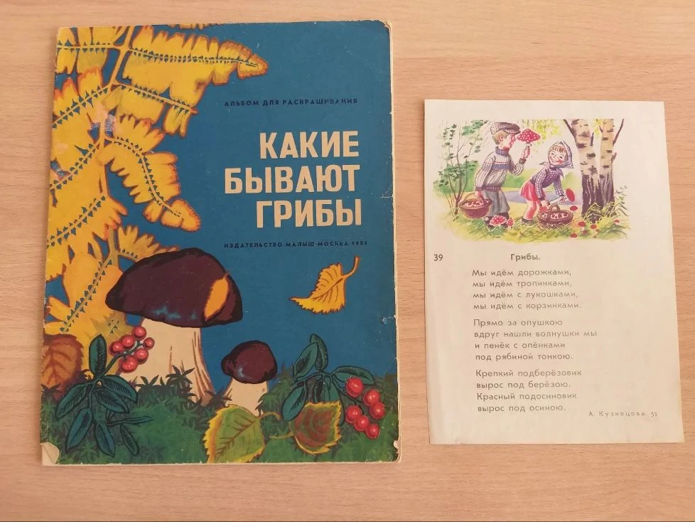 🍄🍄‍🟫Очень важно знать, какие грибы в каких местах любят расти, чтобы искать их было легче.
🍄‍🟫А