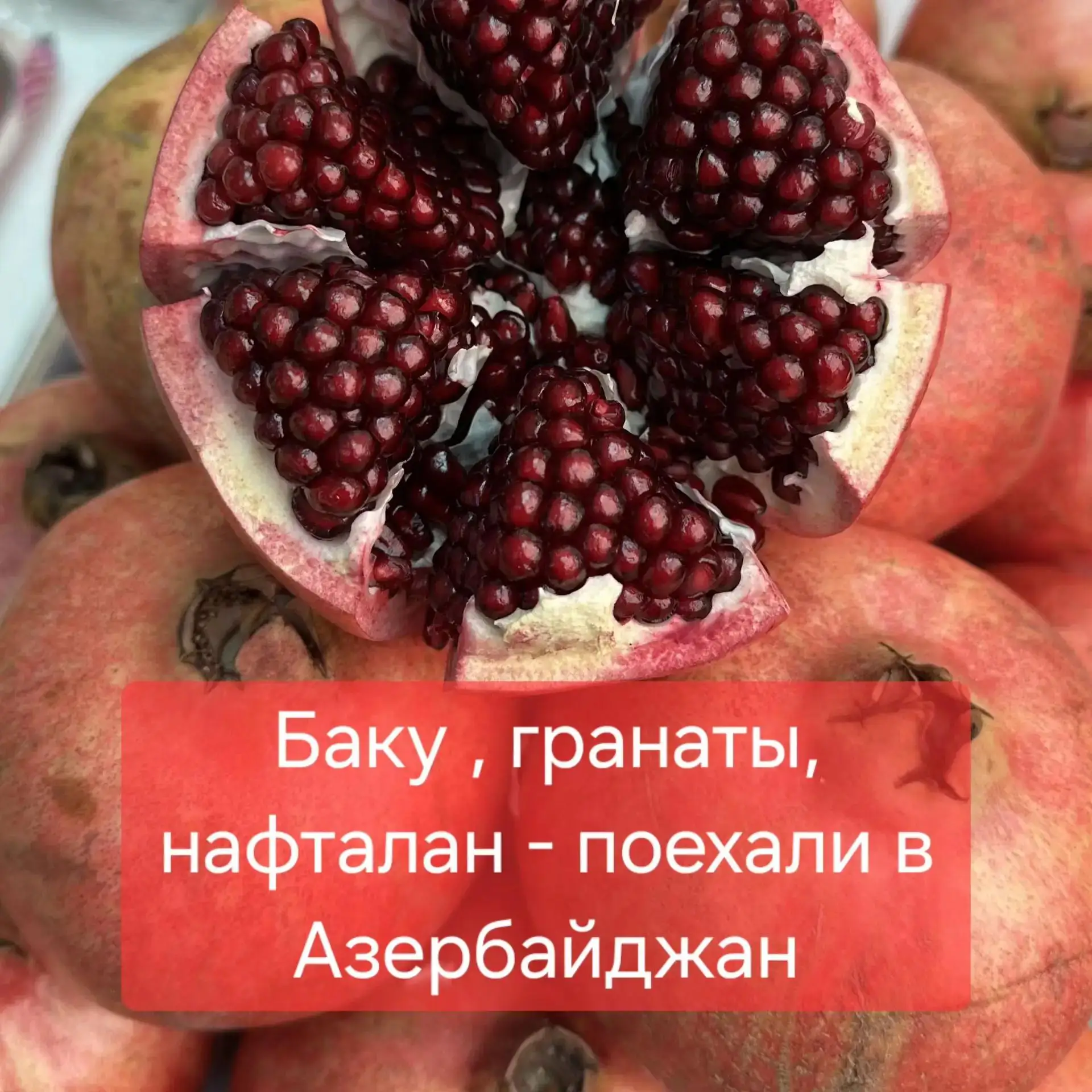 Сезон гранатов в Азербайджане длится с конца октября до начала ноября.