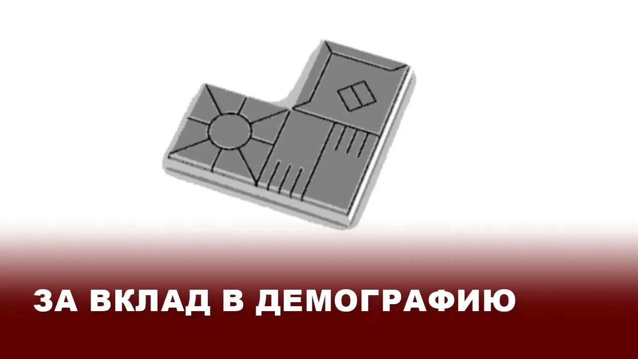 Продвигая многодетность: учредили награду «Тульская область – территория семейного счас...