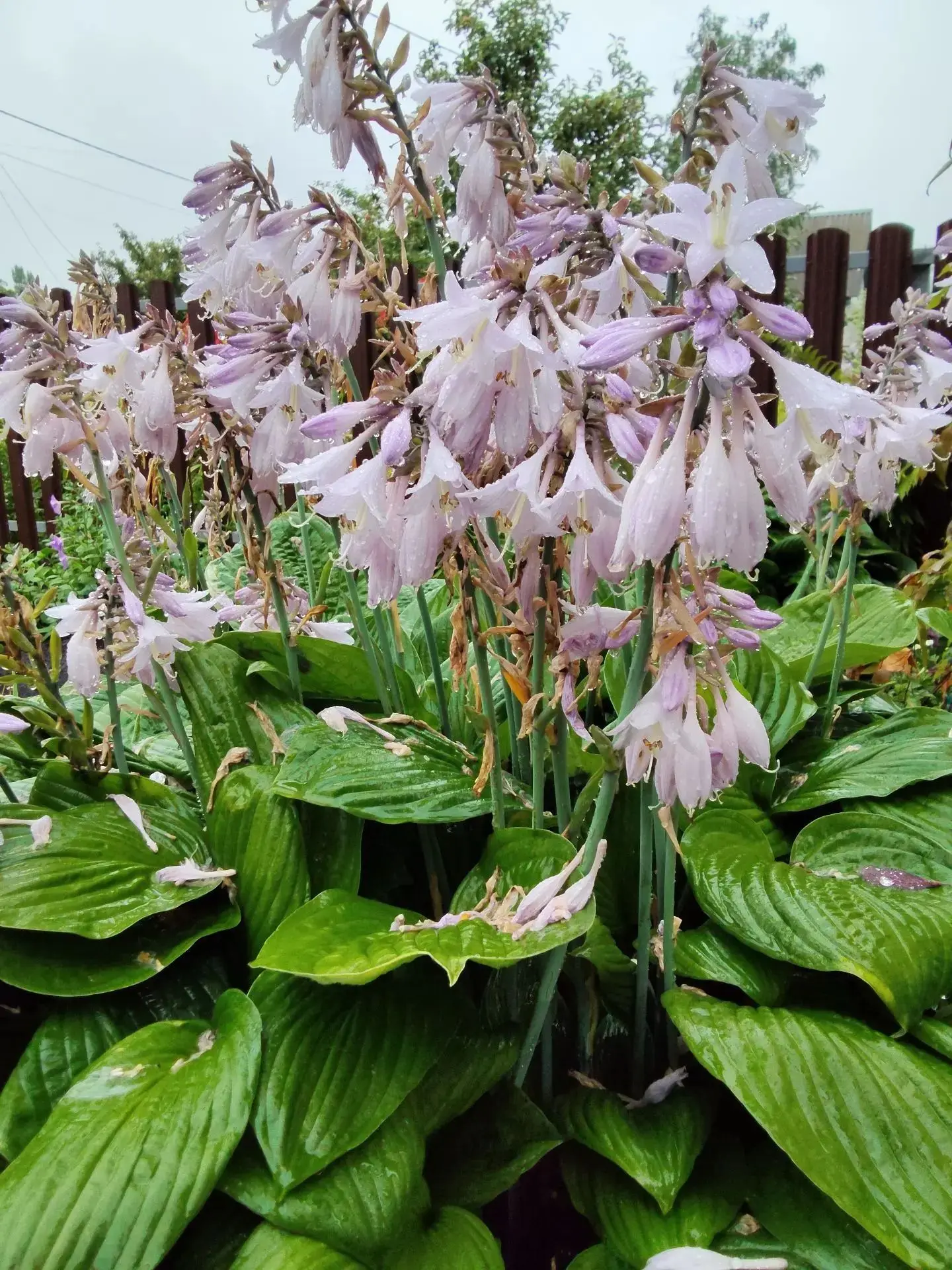 ☔Доброе мокрое утро, друзья!

🌧️Сегодня по прогнозу целый день дождь и до +20 градусов. 

🙂Пусть э