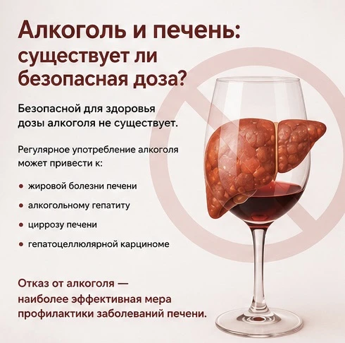 Алкоголь — главный фактор риска заболеваний печени

🥃Алкоголь и печень: существует ли безопасная до