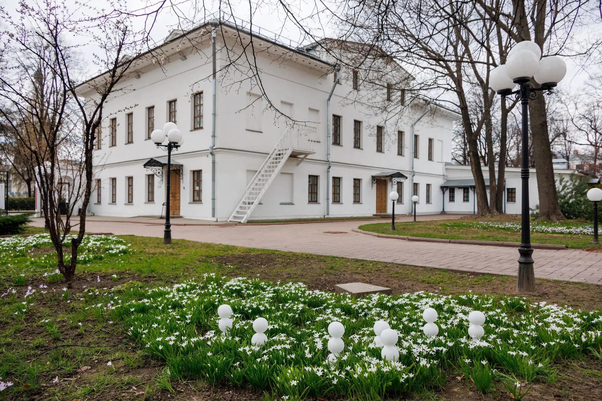 Снеговичковое ханами в хионодоксовых полях