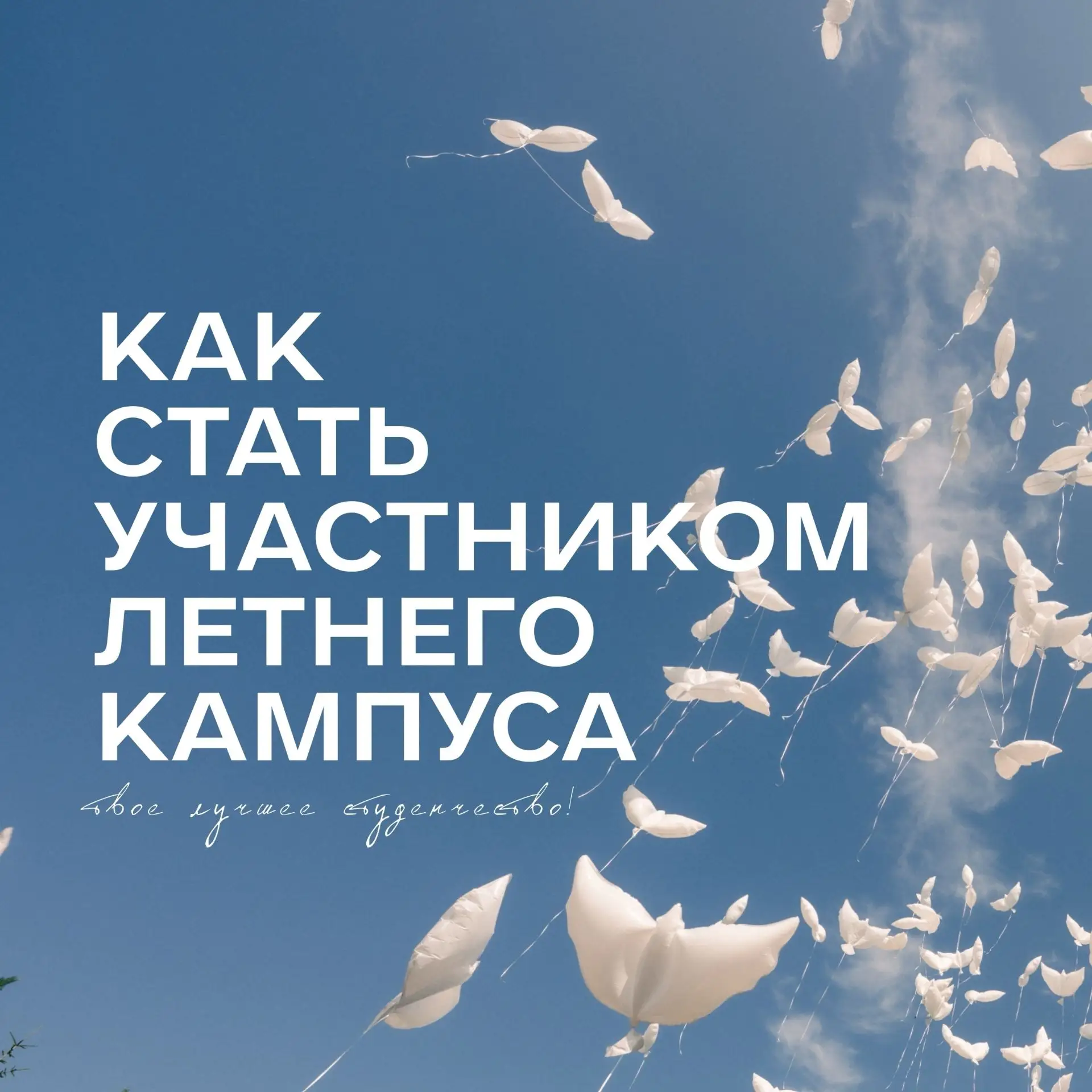 💥Не упусти возможность получить незабываемый опыт и создать самые яркие воспоминания т...
