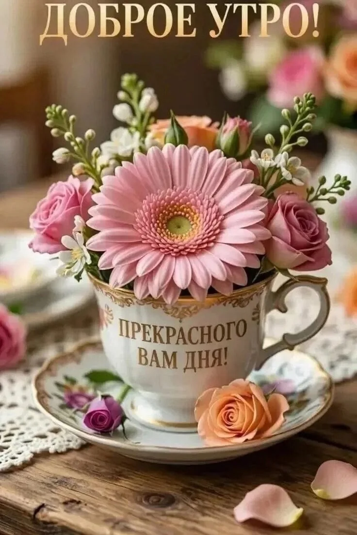 #доброеутро