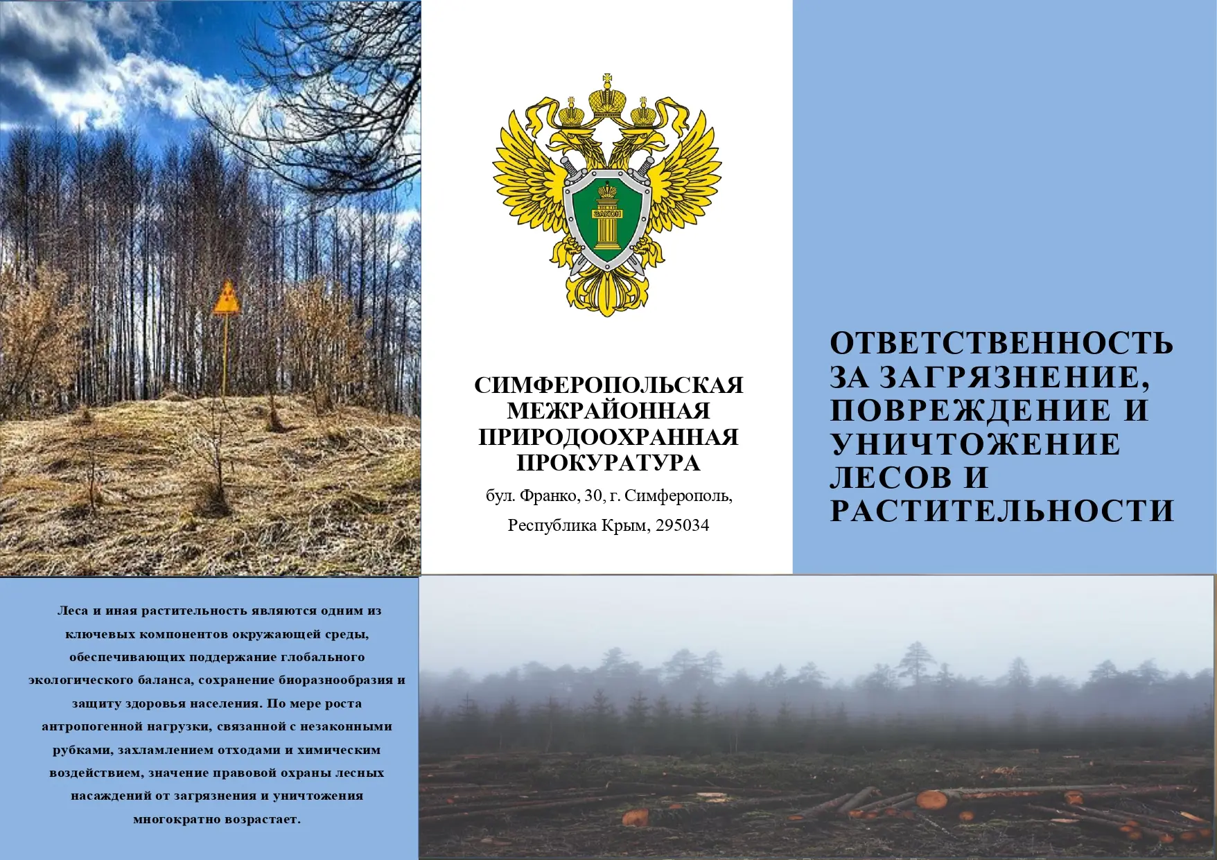 🌲 Лес — наше общее природное богатство, и его сохранение зависит от ответственности каждого!

Симфе