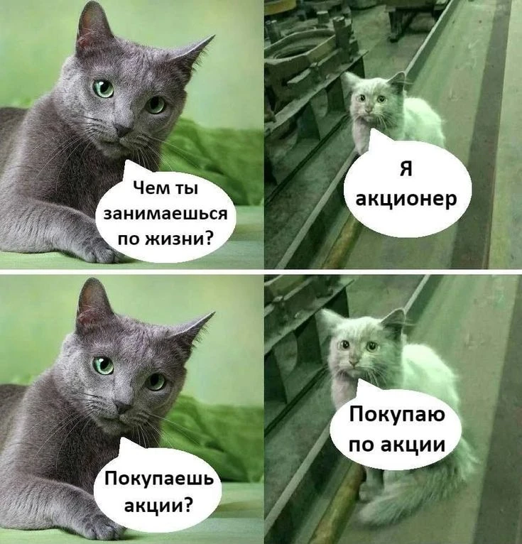Подпишись, чтобы не потерять👇