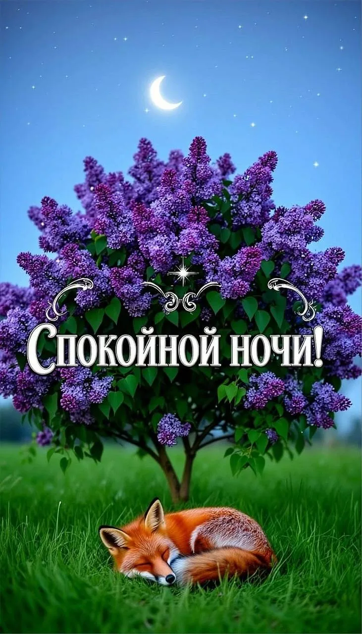 Твоя открытка 💌