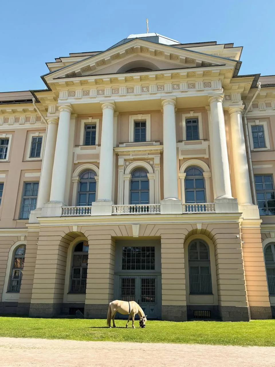 Академический сад — уютный уголок Васильевского острова❤️

История у сада длинная и интересная. Он п