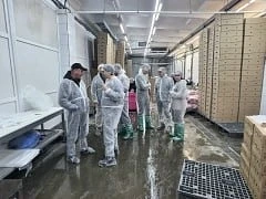 🦃 Гирфанов на Лениногорской птицефабрике  Марат Гирфанов вместе с Наилем Залаковым оценил результаты