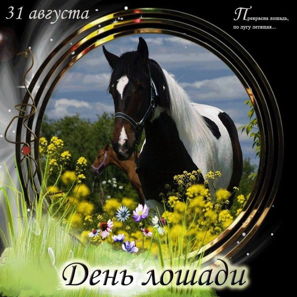 🐎 31 АВГУСТА - ДЕНЬ ЛОШАДИ!