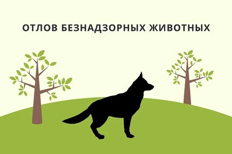Уважаемые жители кожууна!