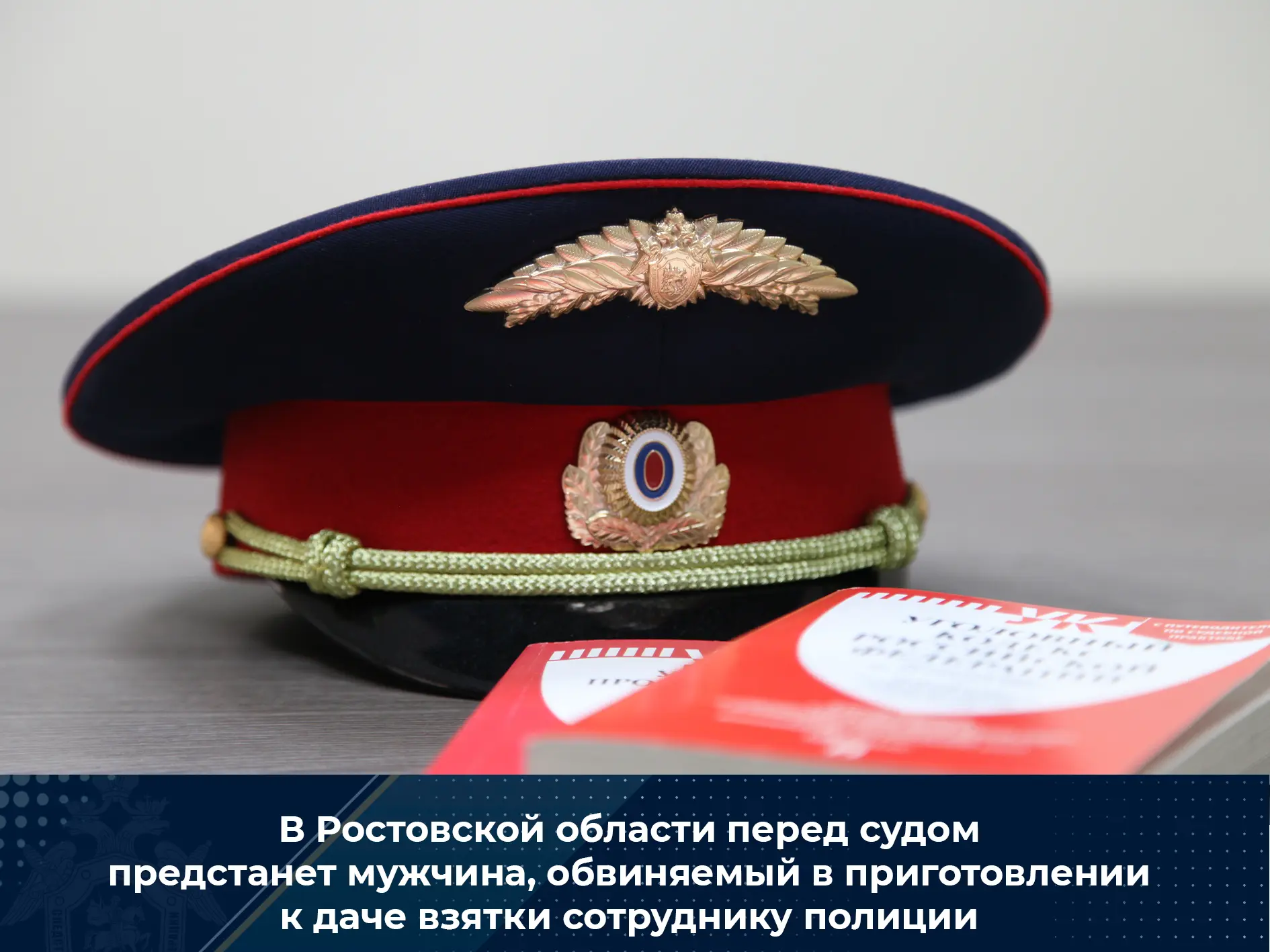 В Ростовской области перед судом предстанет мужчина, обвиняемый в приготовлении к даче ...
