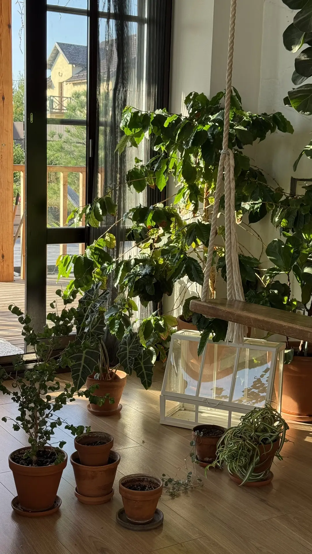 В горшках сегодня 🪴 пора готовить свою коллекцию к зиме 💚