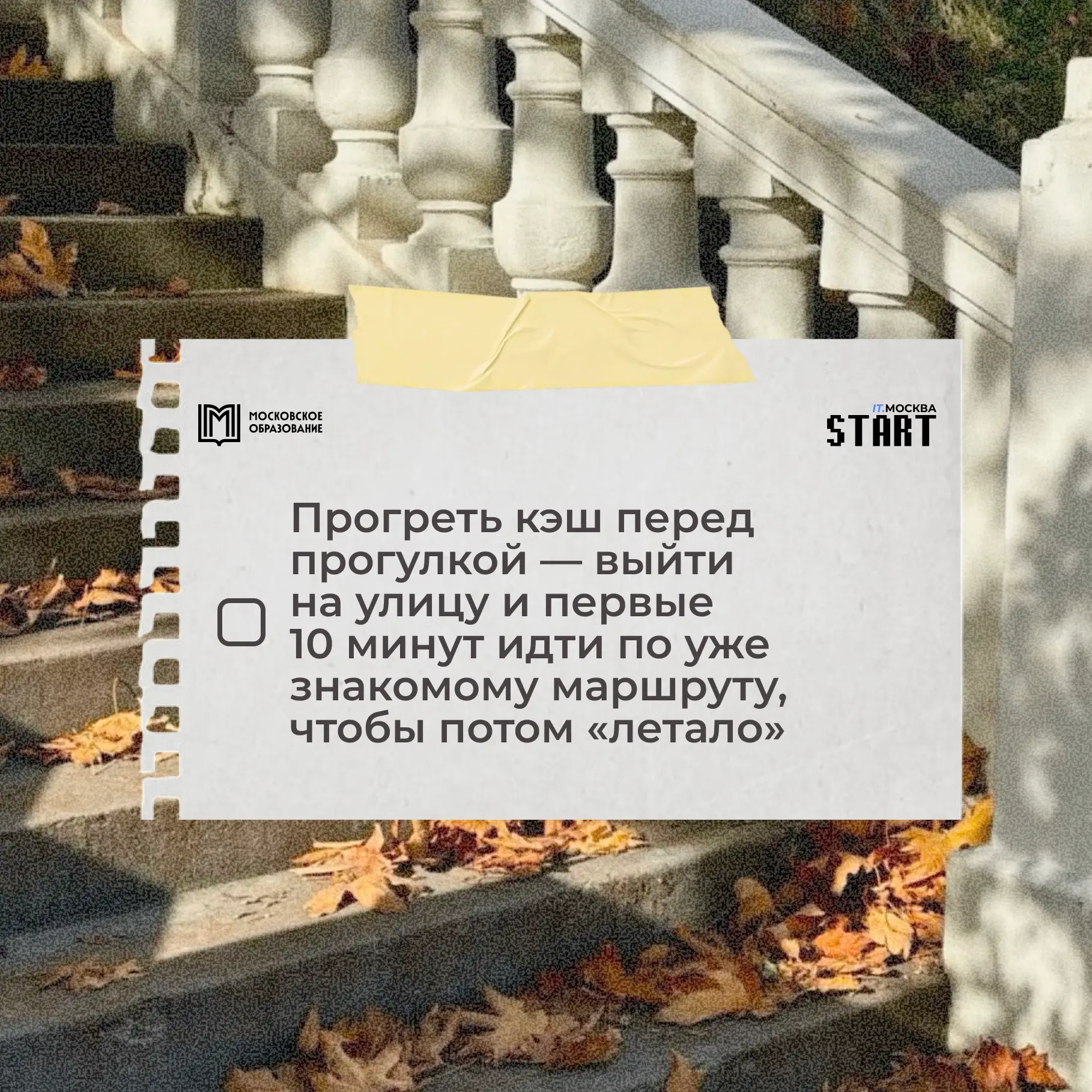 Сохраняй 🍁