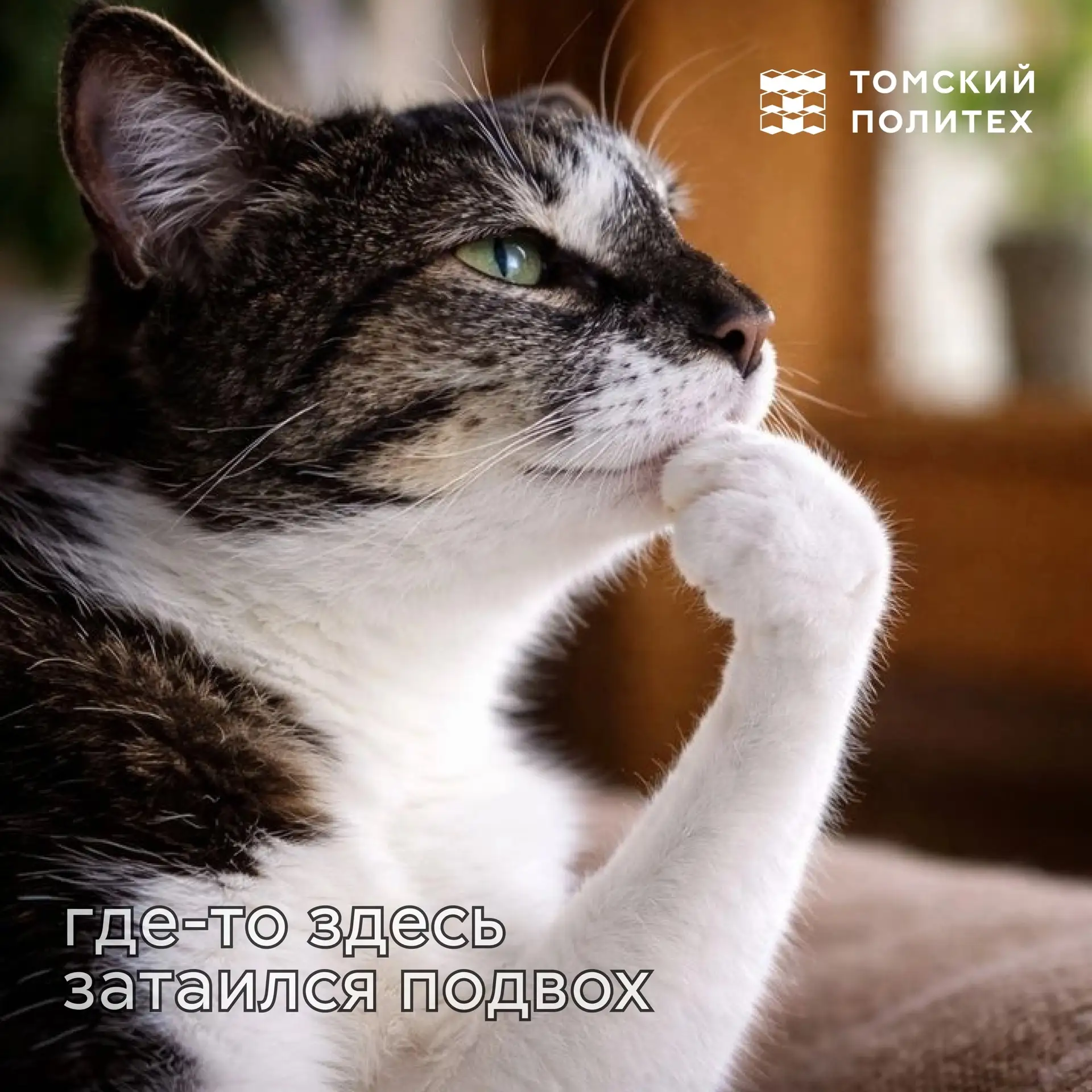 Знатоки Томского политеха, ваш выход