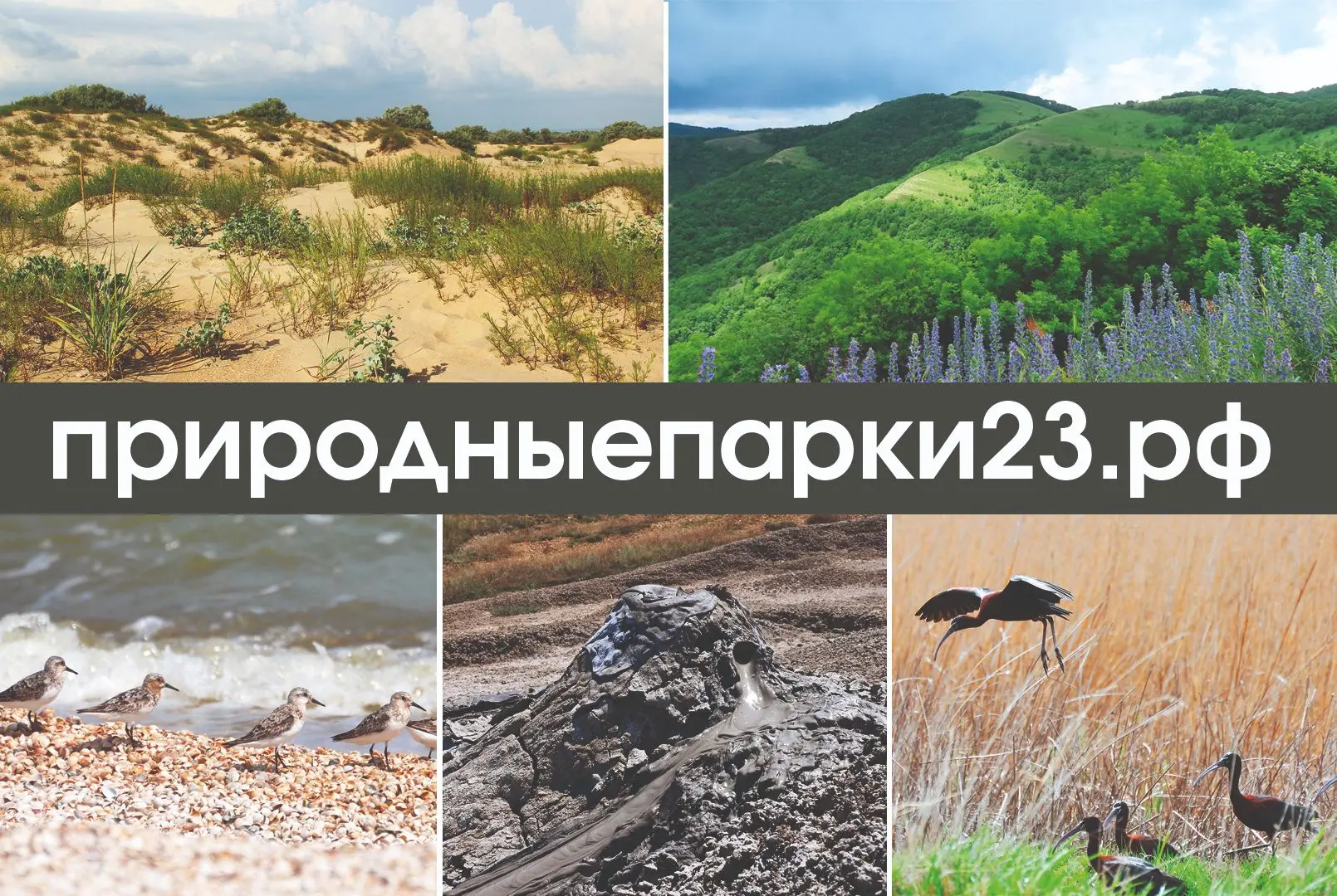 Друзья, мы рады представить вам обновлённый сайт о природных парках Краснодарского края!