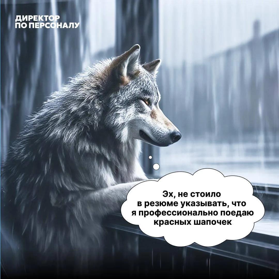🐺 Научим распознавать "волчар" до того, как они попадут в вашу команду

На собеседовании кандидат м