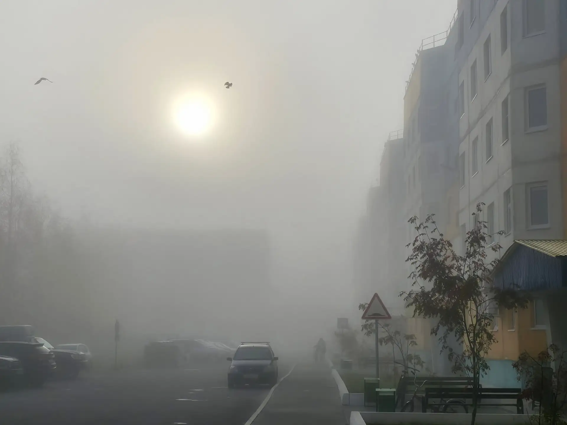 Доброе утро!